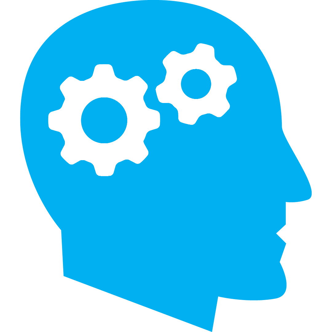 Analizar e interpretar conflictos programantes y desencadenantes