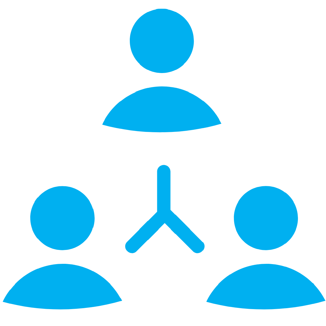 Participación
sector social